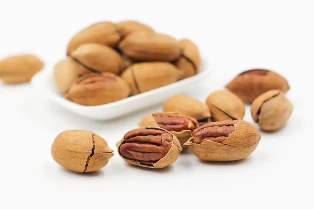 Protein Weider
