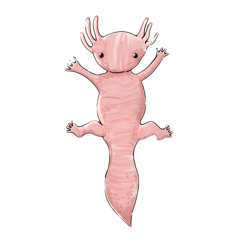 Axolotl Akvárium